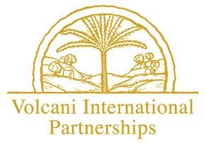 Volcani International Partnerships logo